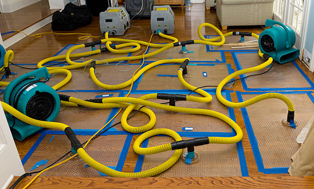 Professional Crawl Space Water Removal technician working in Pleasant Hill, MS